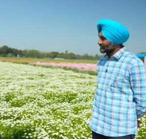 flower farming